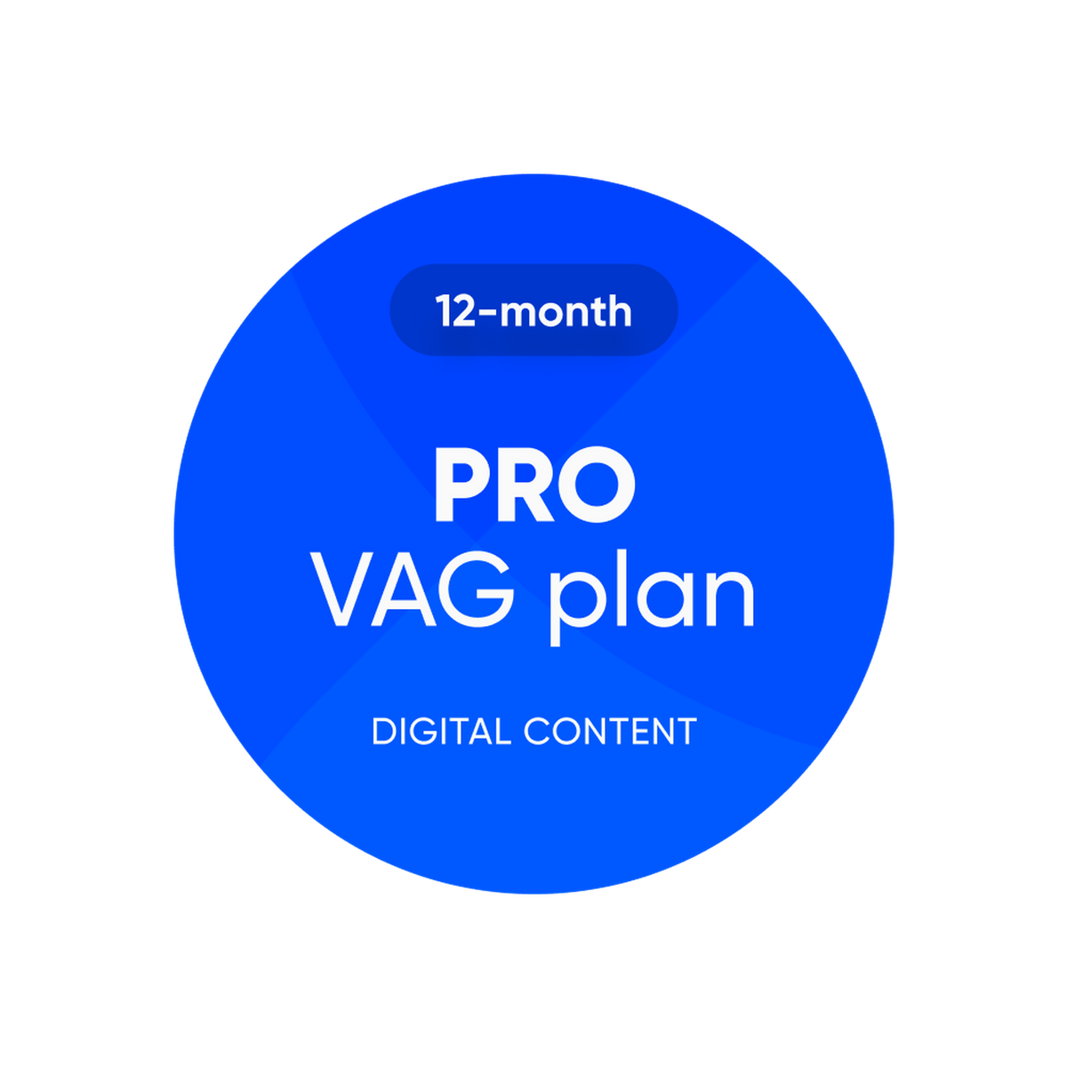 OBDeleven | Pro VAG Plan | Softwarová licence