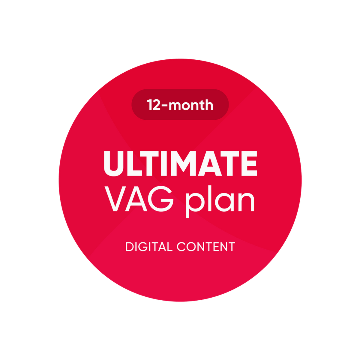 OBDeleven | Ultimate VAG Plan | Softwarová licence